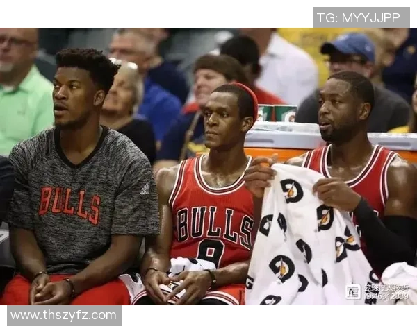 杭州羽毛球队逆袭之路揭秘锦标赛背后的奋斗与荣耀