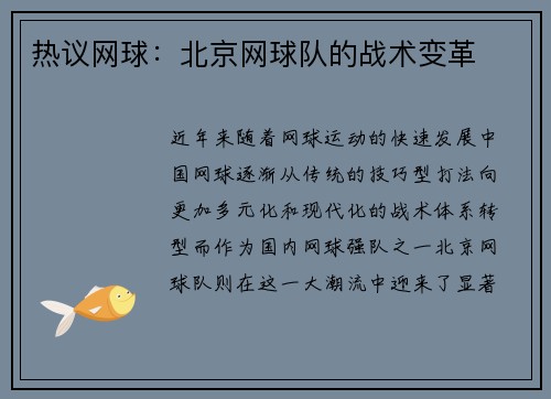 热议网球：北京网球队的战术变革