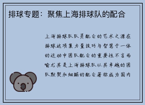 排球专题：聚焦上海排球队的配合